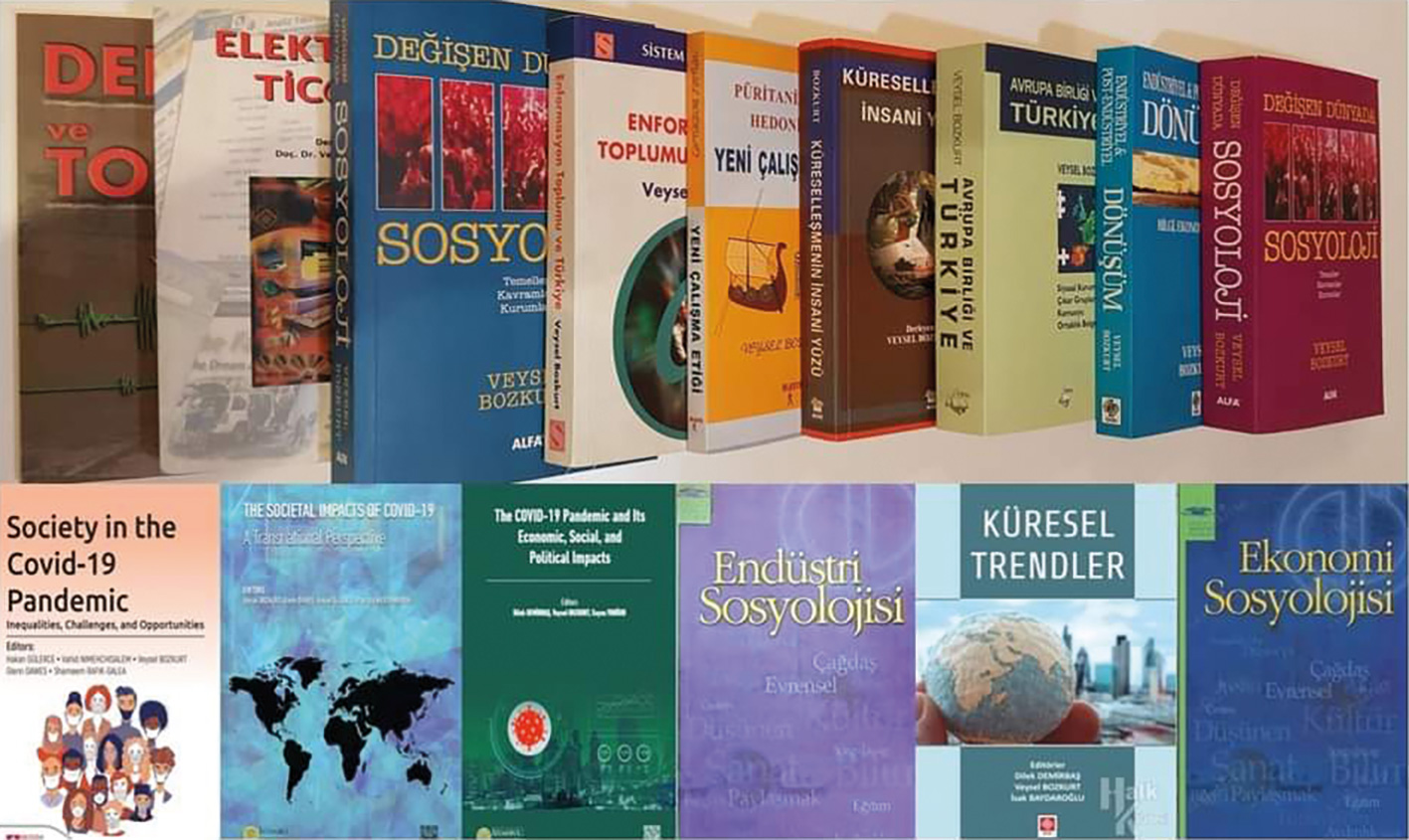 prof. dr. veysel bozkurt, kitaplar